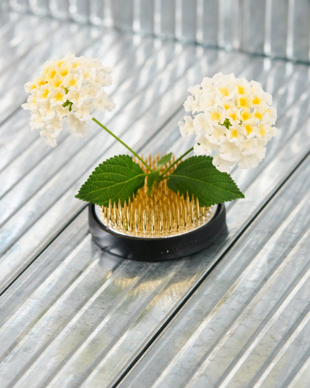 Niwaki - Flower pick - Kenzan