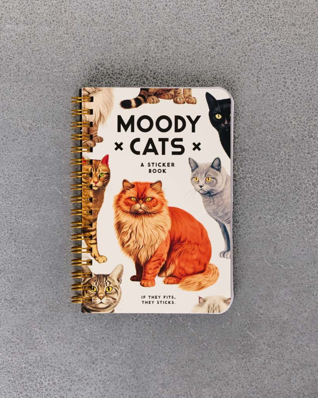 Abrams - Book - Moody Cats Stickers Book