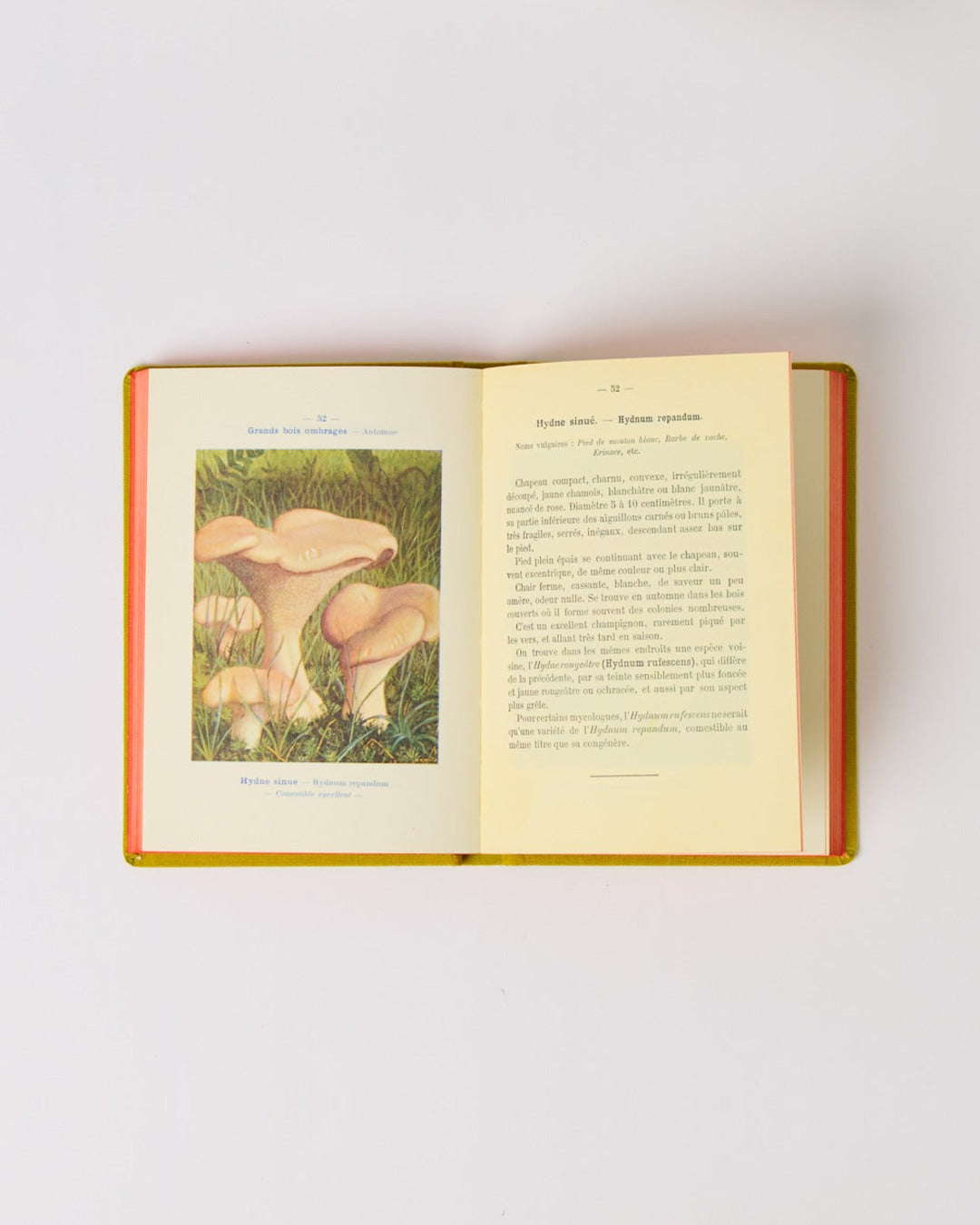 Bibliomane - Atlas Book - Mushrooms