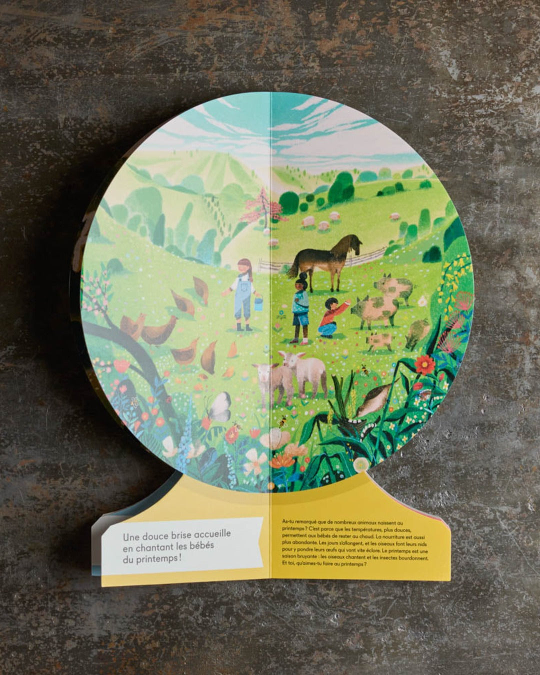 Phaidon Jeunesse - Book - Our Seasons