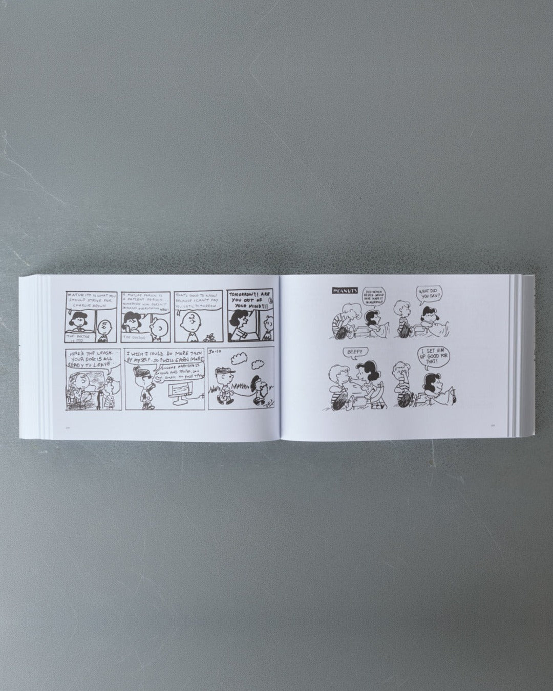 Jbe Books - Livre Peanuts Minus Schultz