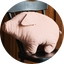 #d4a4a4